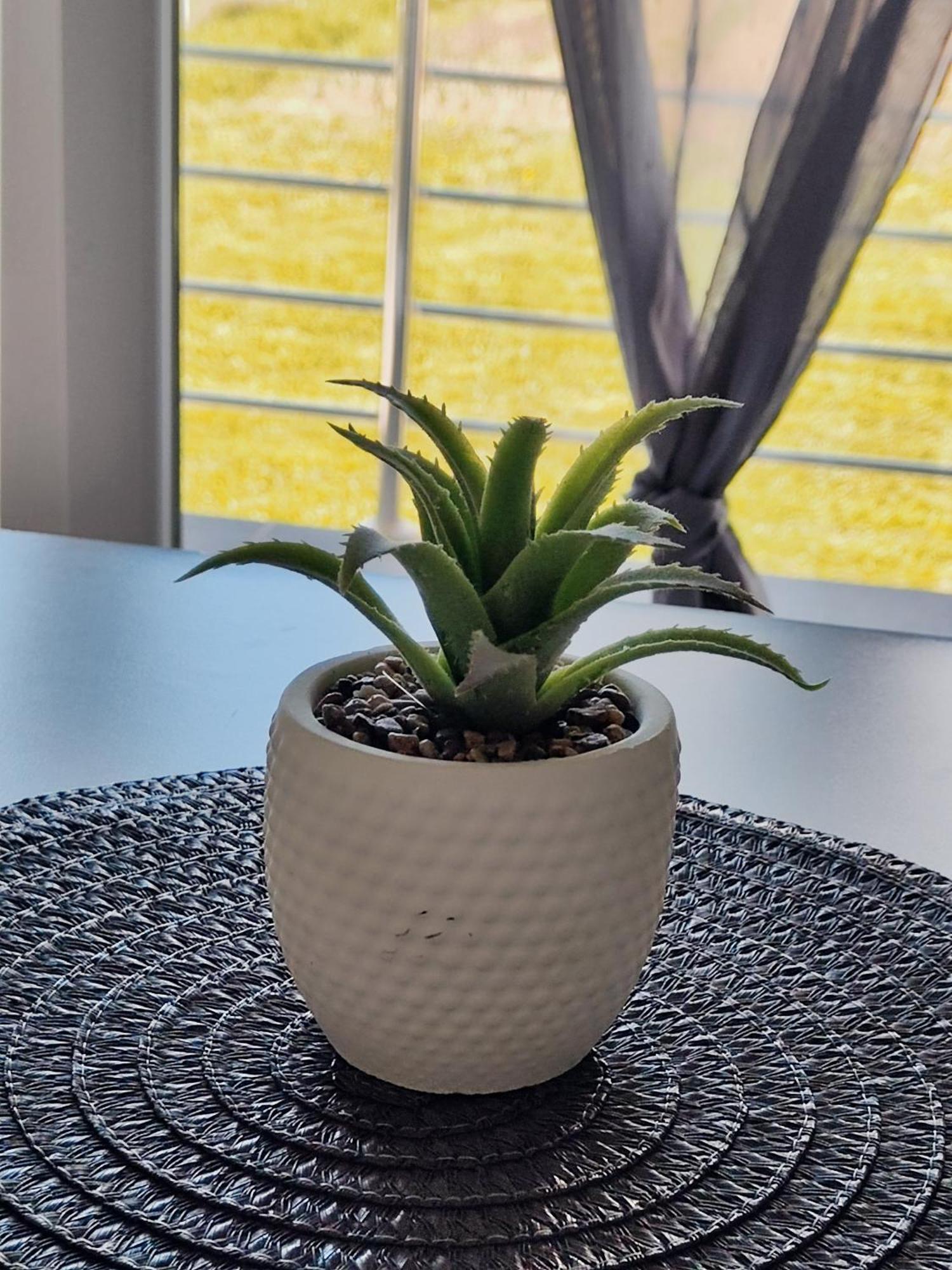 Apartman Marija Perusic 外观 照片